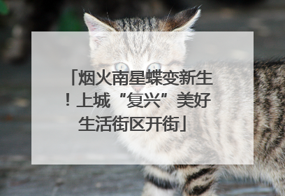 烟火南星蝶变新生！上城“复兴”美好生活街区开街