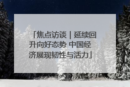 焦点访谈｜延续回升向好态势 中国经济展现韧性与活力