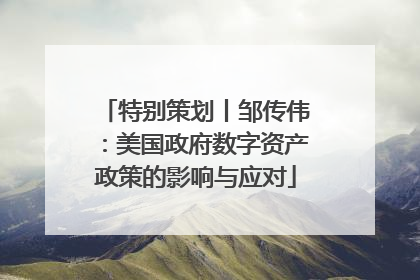特别策划丨邹传伟：美国政府数字资产政策的影响与应对