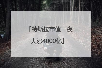 特斯拉市值一夜大涨4000亿