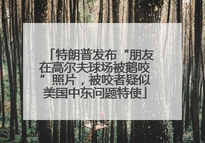 特朗普发布“朋友在高尔夫球场被鹅咬”照片，被咬者疑似美国中东问题特使