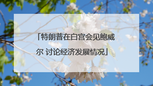特朗普在白宫会见鲍威尔 讨论经济发展情况