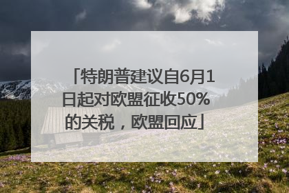 特朗普建议自6月1日起对欧盟征收50%的关税，欧盟回应