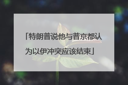 特朗普说他与普京都认为以伊冲突应该结束