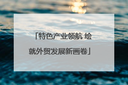 特色产业领航 绘就外贸发展新画卷