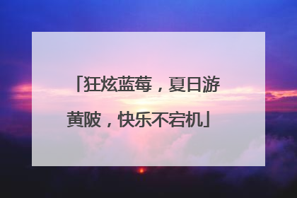 狂炫蓝莓，夏日游黄陂，快乐不宕机