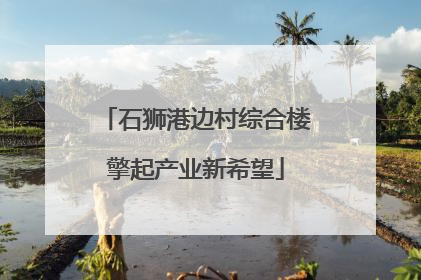 石狮港边村综合楼擎起产业新希望