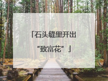 石头缝里开出“致富花”