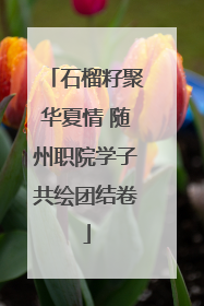 石榴籽聚华夏情 随州职院学子共绘团结卷