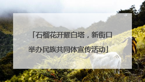 石榴花开耀白塔，新街口举办民族共同体宣传活动