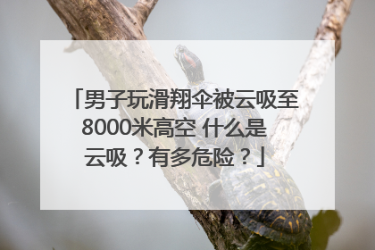 男子玩滑翔伞被云吸至8000米高空 什么是云吸？有多危险？