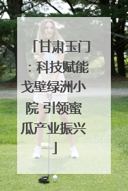 甘肃玉门：科技赋能戈壁绿洲小院 引领蜜瓜产业振兴