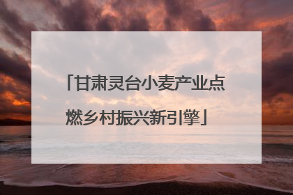 甘肃灵台小麦产业点燃乡村振兴新引擎