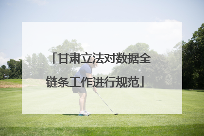 甘肃立法对数据全链条工作进行规范