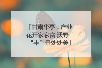 甘肃华亭：产业花开家家富 沃野“丰”景处处美