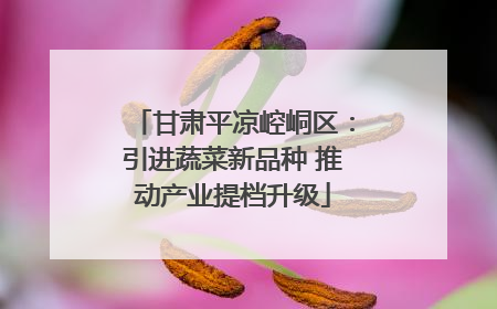 甘肃平凉崆峒区：引进蔬菜新品种 推动产业提档升级
