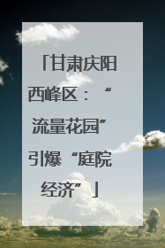 甘肃庆阳西峰区：“流量花园”引爆“庭院经济”