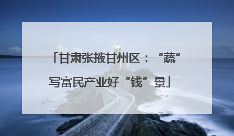 甘肃张掖甘州区：“蔬”写富民产业好“钱”景