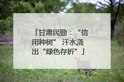 甘肃民勤：“信用种树” 汗水浇出“绿色存折”
