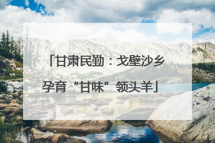 甘肃民勤：戈壁沙乡孕育“甘味”领头羊