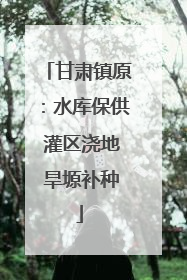 甘肃镇原：水库保供 灌区浇地 旱塬补种