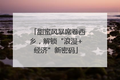 甜蜜风暴席卷西乡，解锁“浪漫+经济”新密码