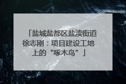 盐城盐都区盐渎街道徐志刚：项目建设工地上的“啄木鸟”