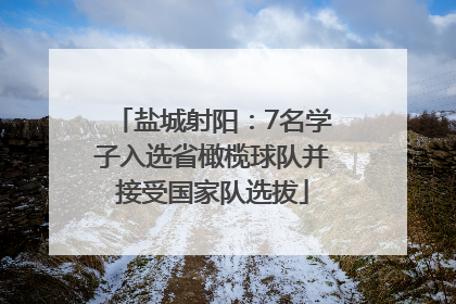 盐城射阳：7名学子入选省橄榄球队并接受国家队选拔
