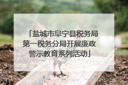 盐城市阜宁县税务局第一税务分局开展廉政警示教育系列活动