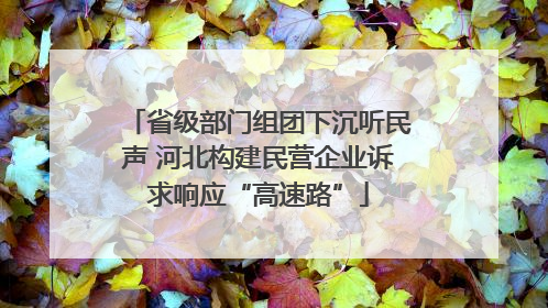 省级部门组团下沉听民声 河北构建民营企业诉求响应“高速路”