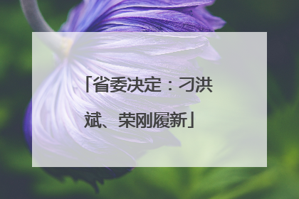 省委决定：刁洪斌、荣刚履新