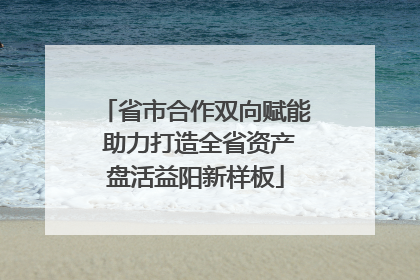 省市合作双向赋能 助力打造全省资产盘活益阳新样板