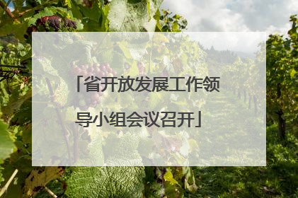 省开放发展工作领导小组会议召开