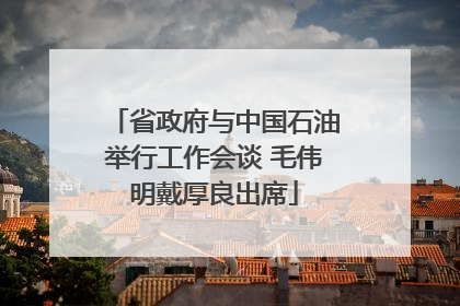 省政府与中国石油举行工作会谈 毛伟明戴厚良出席