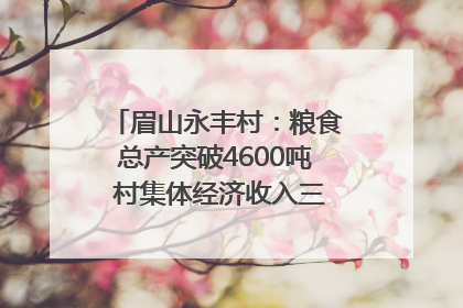 眉山永丰村：粮食总产突破4600吨 村集体经济收入三年倍增｜牵挂的村