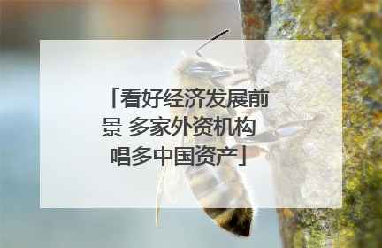 看好经济发展前景 多家外资机构唱多中国资产