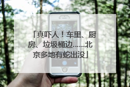 真吓人！车里、厨房、垃圾桶边……北京多地有蛇出没