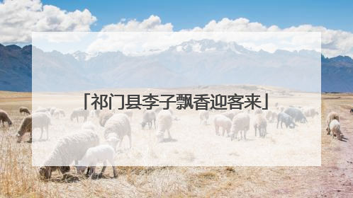 祁门县李子飘香迎客来