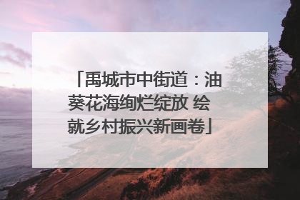 禹城市中街道：油葵花海绚烂绽放 绘就乡村振兴新画卷