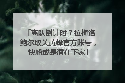 离队倒计时？拉梅洛·鲍尔取关黄蜂官方账号，快船或是潜在下家