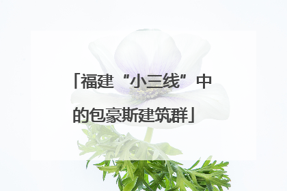 福建“小三线”中的包豪斯建筑群