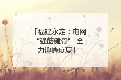 福建永定：电网“强筋健骨” 全力迎峰度夏