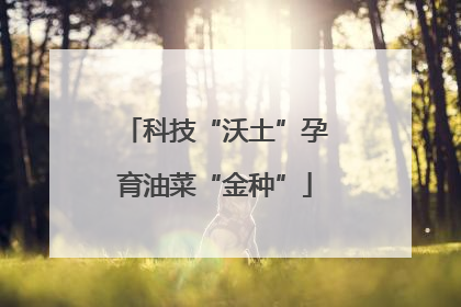 科技“沃土”孕育油菜“金种”