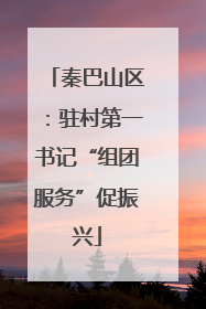 秦巴山区：驻村第一书记“组团服务”促振兴