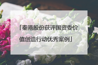 秦港股份获评国资委价值创造行动优秀案例