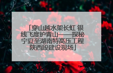 穿山越水架长虹 银线飞度护青山——探秘宁夏至湖南特高压工程陕西段建设现场