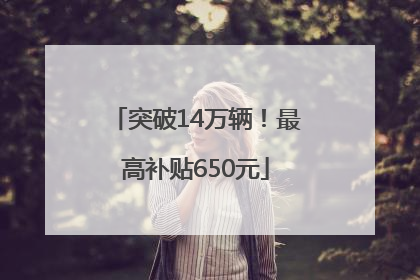 突破14万辆！最高补贴650元