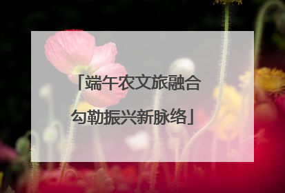 端午农文旅融合 勾勒振兴新脉络
