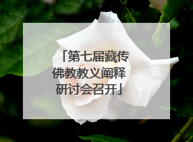 第七届藏传佛教教义阐释研讨会召开