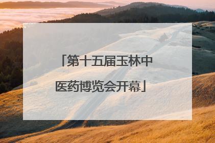 第十五届玉林中医药博览会开幕